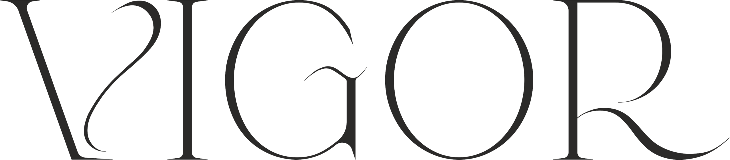 Vigor logo